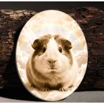 Tengerimalac emléktábla ovális formában felhős háttérrel porcelán kivitelben