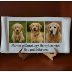Kutya emléktábla több fotóval és idézettel porcelán kivitelben