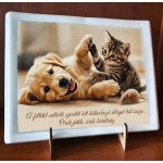 Egyedi kisállat emléktábla fotóval – könyv alakú